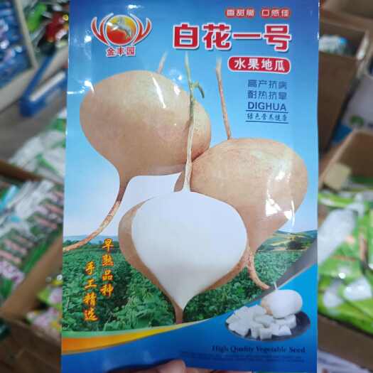 长沙县四川金丰园白花一号水果地瓜凉薯早熟皮薄行香甜可口脆嫩瓜形美