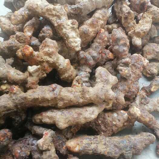 土茯苓，本地新鲜土，白肉粉质，价钱实惠，量大从优