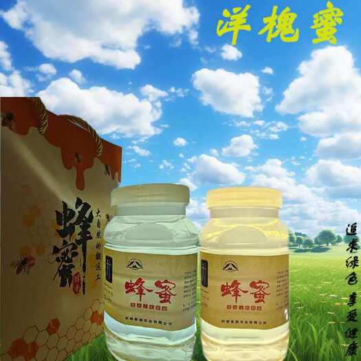 磁县河北槐花蜜 本土特产
