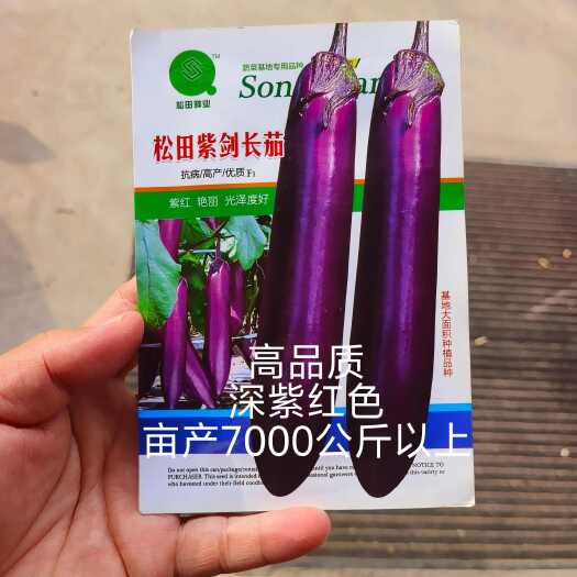 扶沟县松田紫剑长茄茄子种子紫红茄子种中早熟皮紫红亩产12000斤