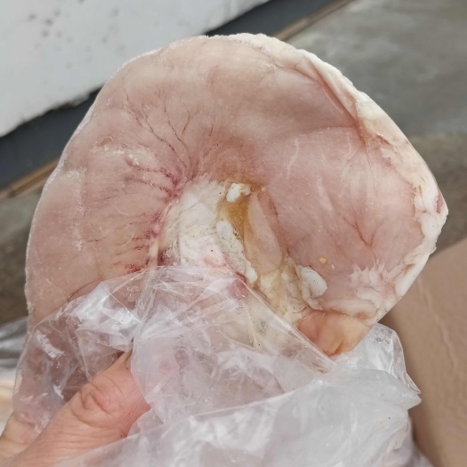 沂南县纯干猪肚一手货源28一33，35一40，40一50电商爆品