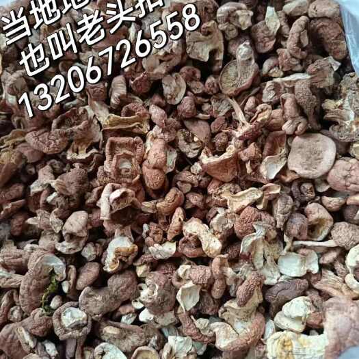 甘南县纯野生蘑菇