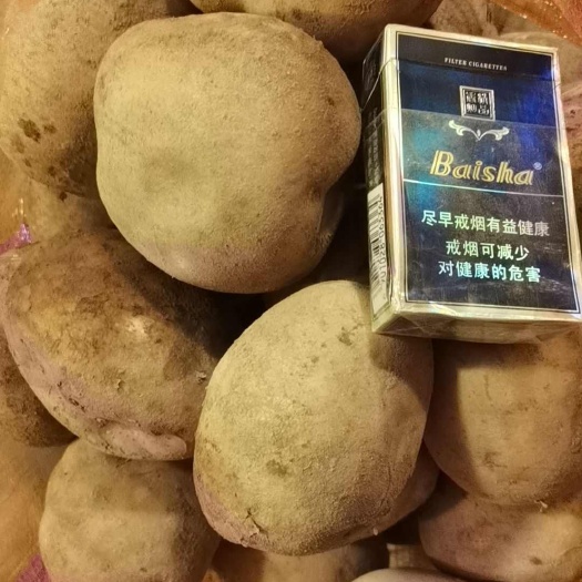 永昌县大西洋
