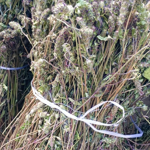确山县【一手货源】夏枯草青棵全草 当年新货 自然晾晒 无农残