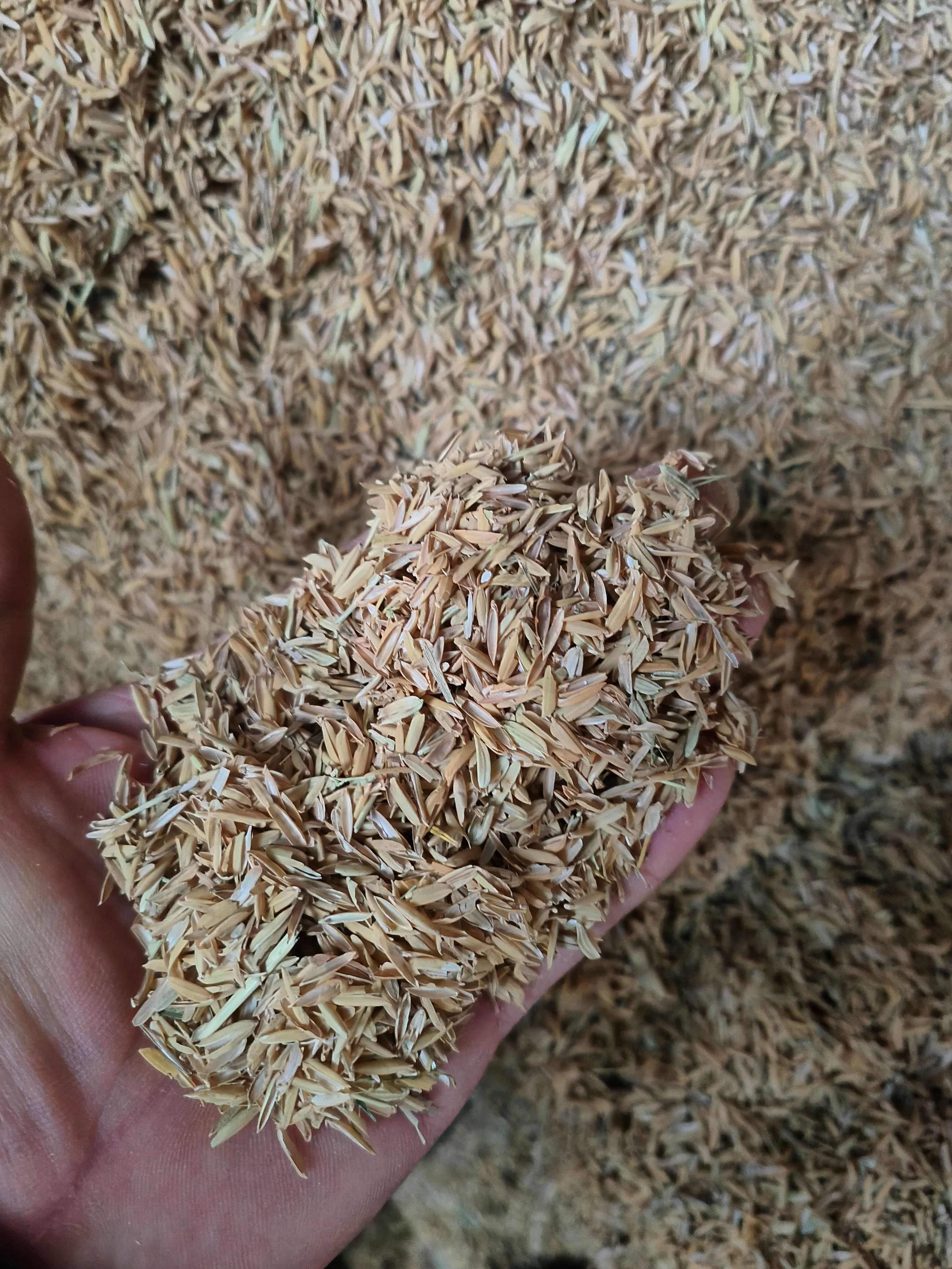 灵寿县稻壳粉
