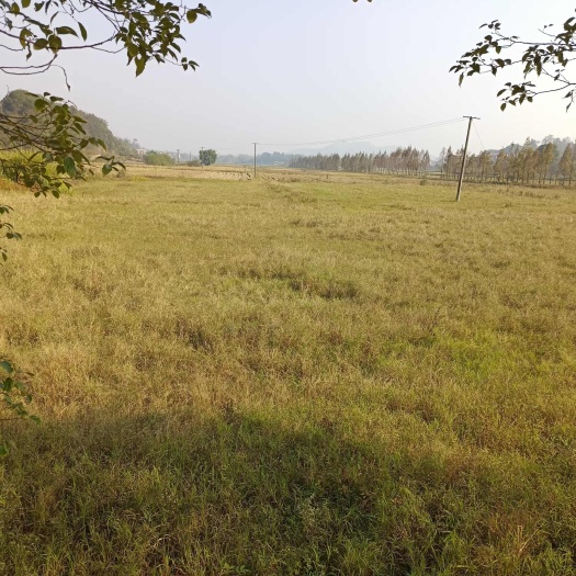 湖南衡阳地区  村集体资源出租