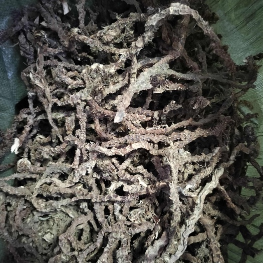 永顺县石菖蒲