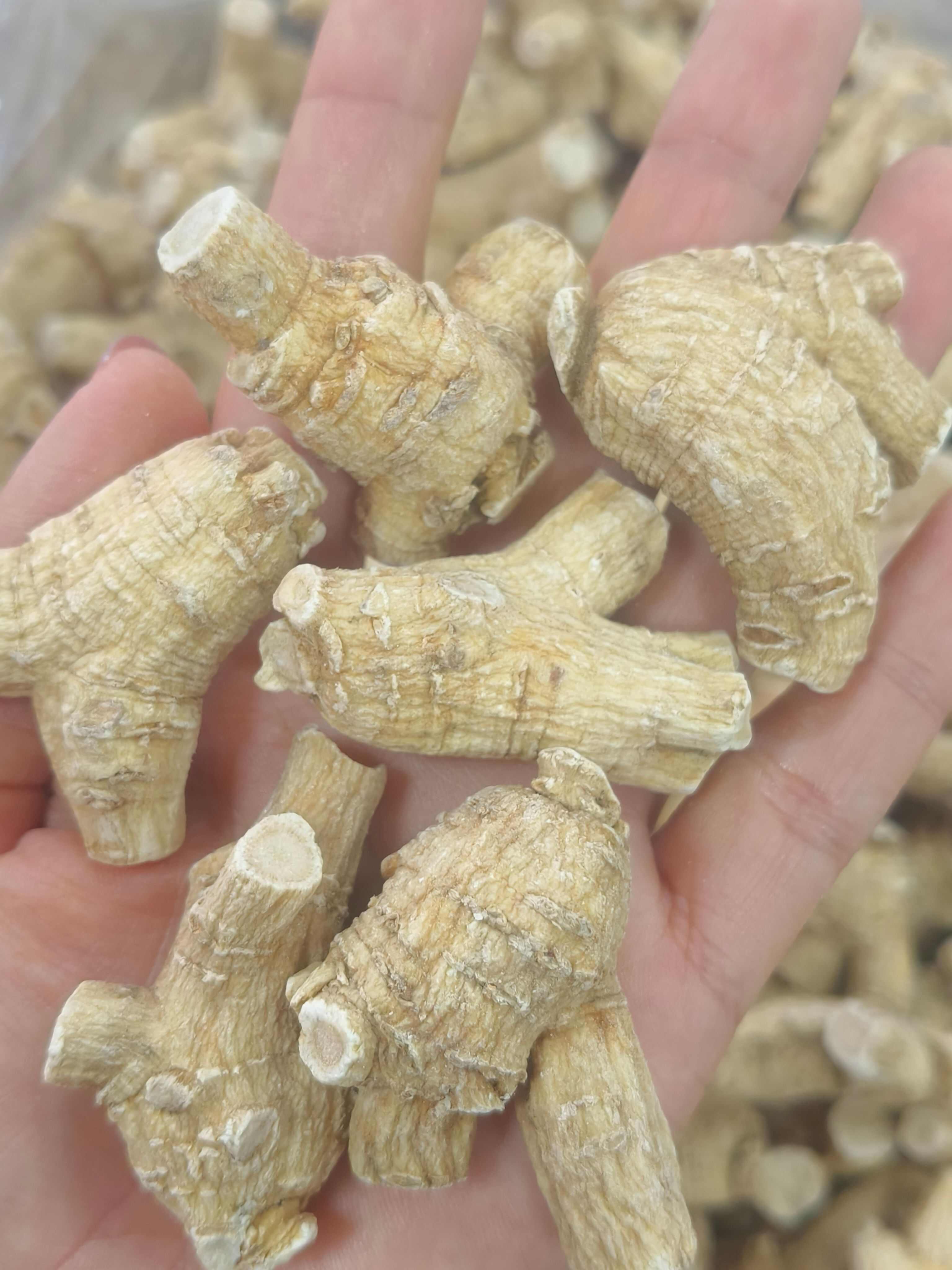 美国 西洋参  粒头 可磨粉 切片  泡水煮茶炖汤