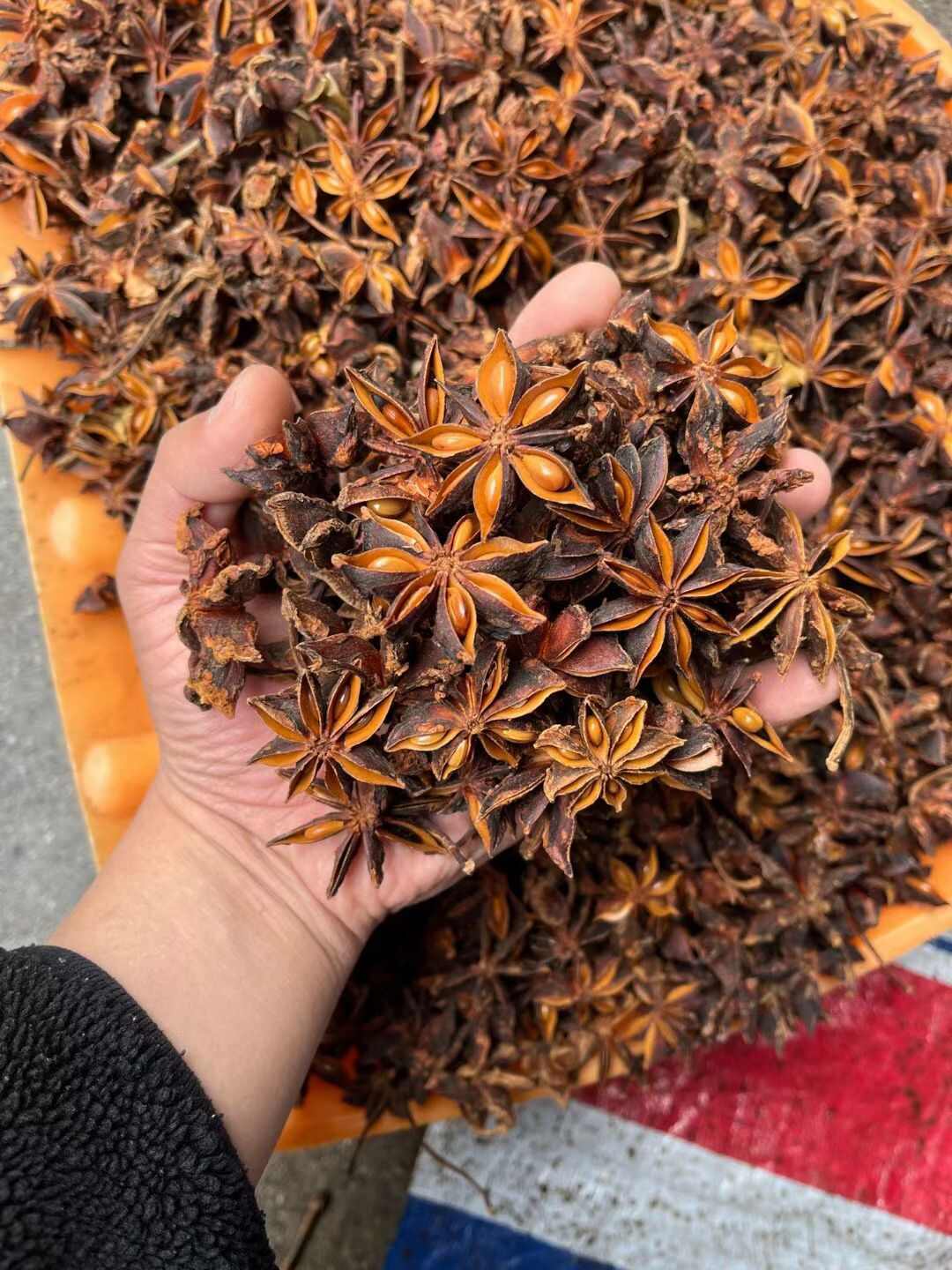 八角/春花八角/香味浓郁/足干无硫/过筛去把/精选好货/无籽