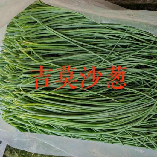 杭锦旗沙葱的质地脆嫩，咬下去口感爽脆，给人带来独特的食用体验
