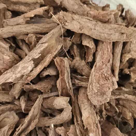 嘉祥县地骨皮