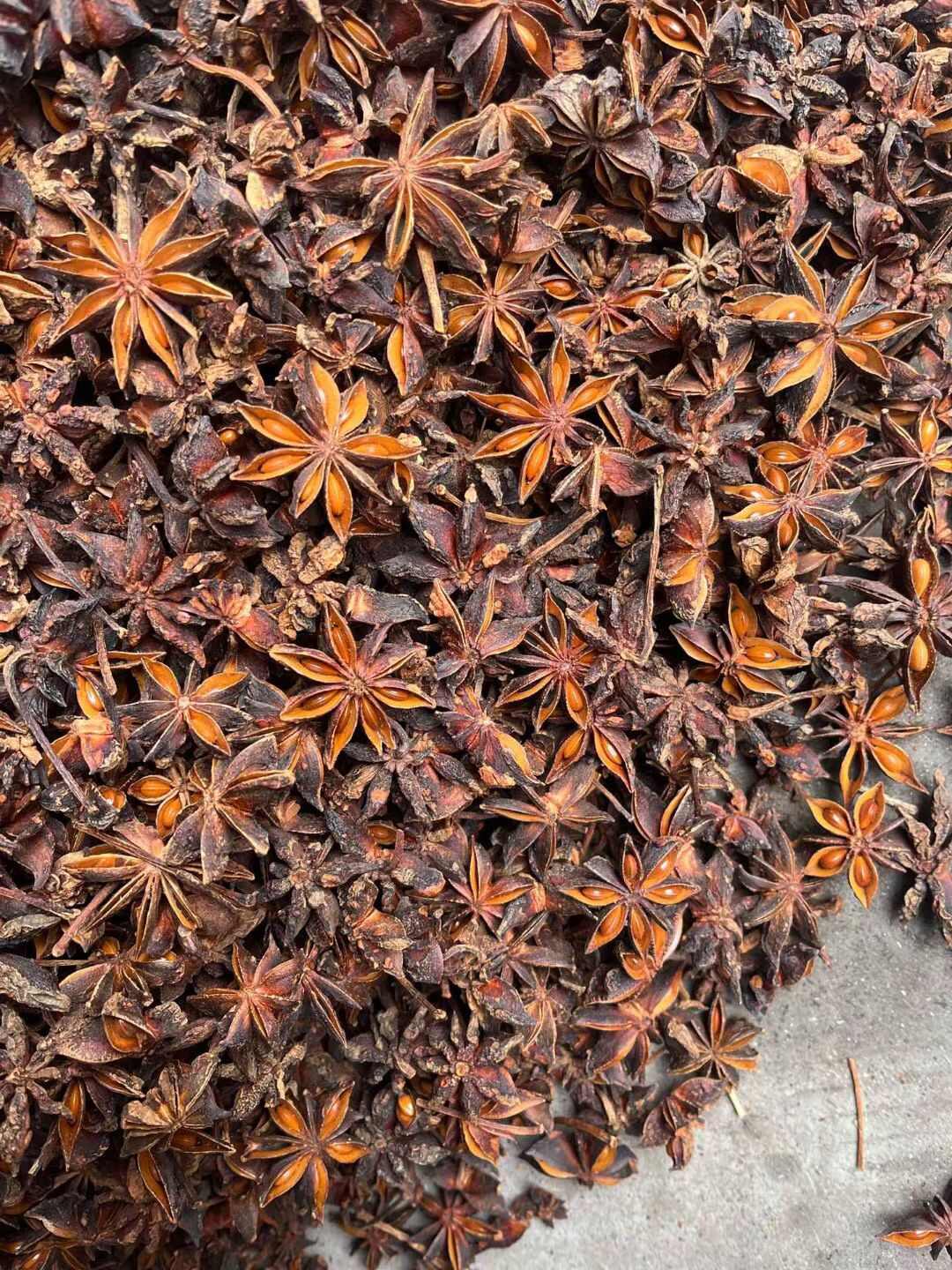八角/春花八角/香味浓郁/足干无硫/过筛去把/精选好货/无籽