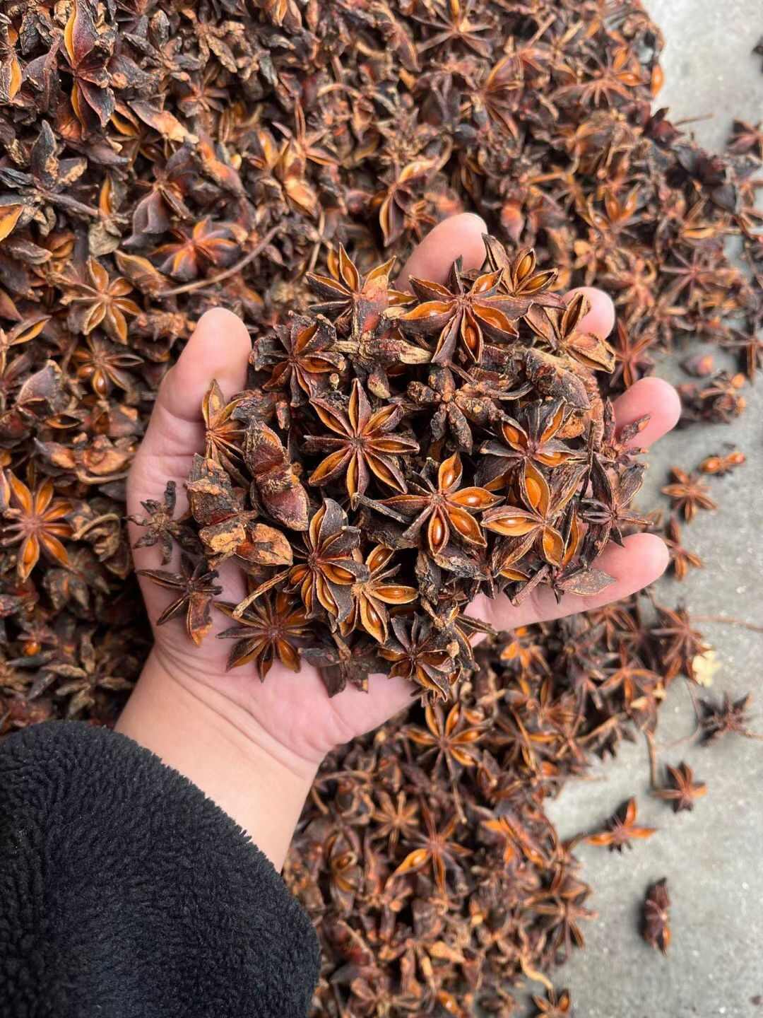 八角/春花八角/香味浓郁/足干无硫/过筛去把/精选好货/无籽