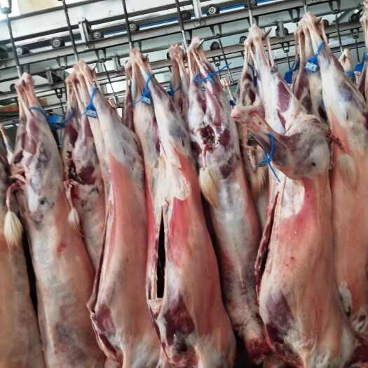 榆林山羊肉