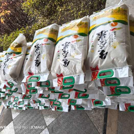 乌兰浩特自己种植的兴安盟大米