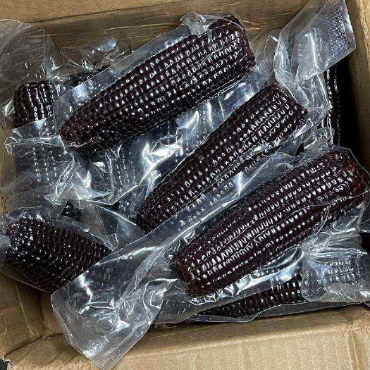 乌兰浩特黑糯玉米260g左右