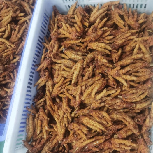 呼和浩特油炸凤爪