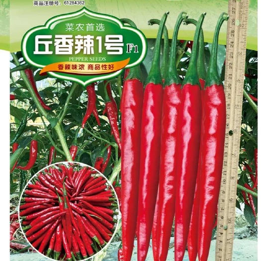 萧县丘香辣1号  香辣浓香  商品性好  干椒产量高  脱水快