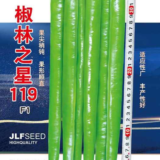萧县椒林之星119  适应性广  丰产性好 果尖顺直   中早熟