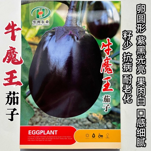 沭阳县牛魔王茄子杂交紫黑圆茄紫黑光亮灯炮茄子肉白细腻籽少高产抗病