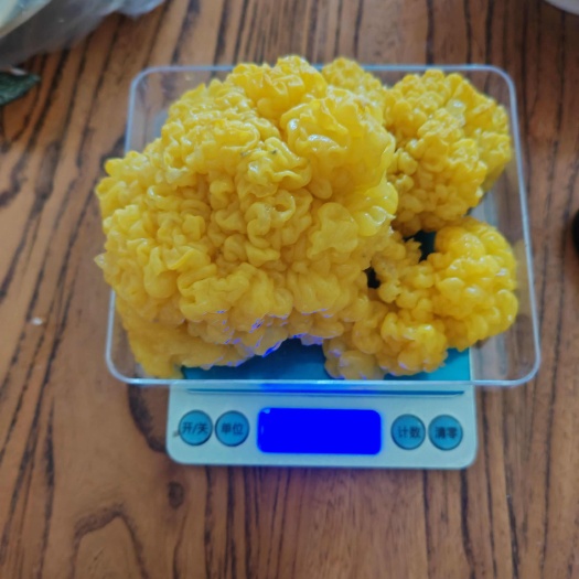 济南干金耳，小朵，半斤20朵，泡发后150g左右