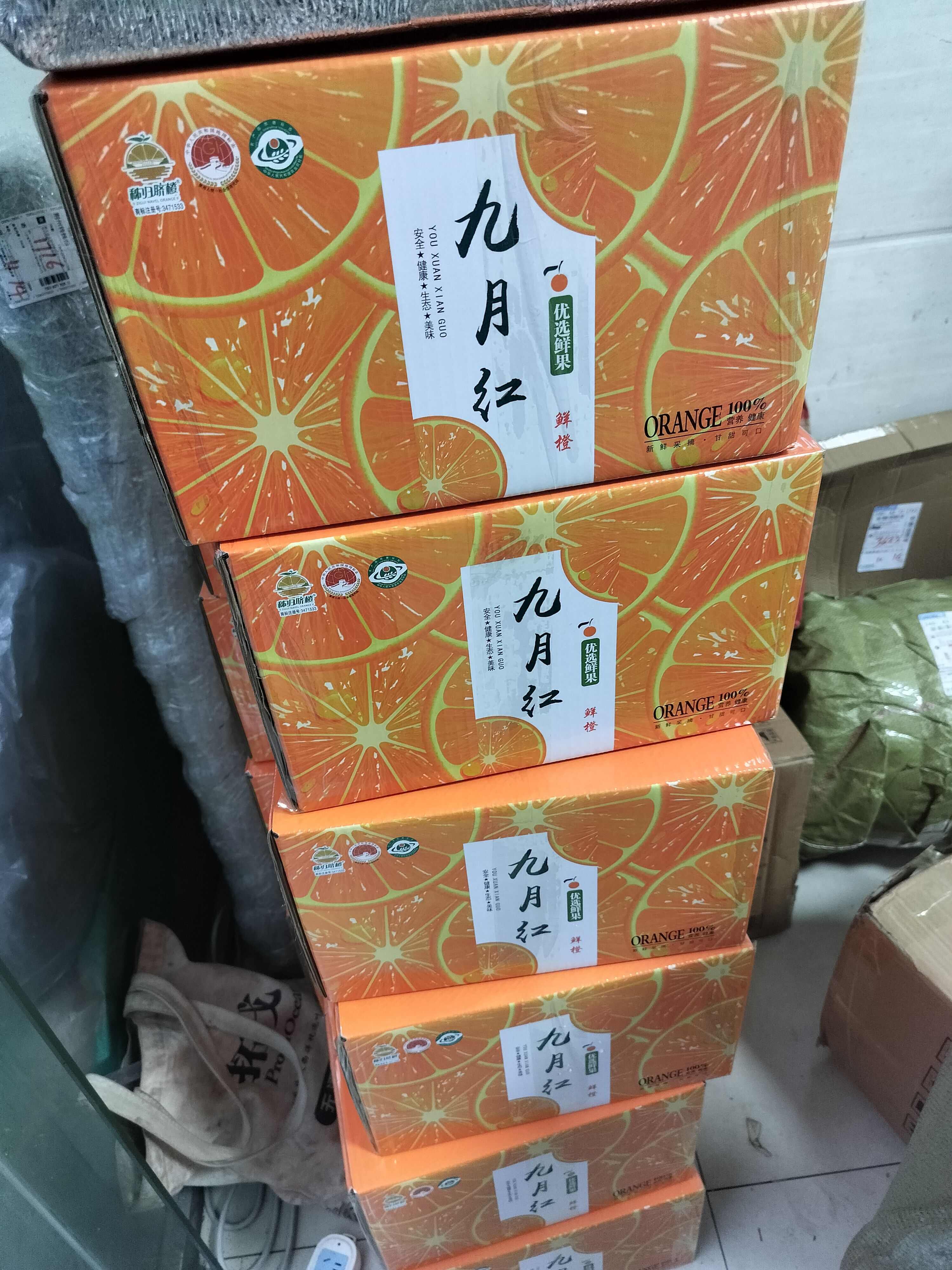 湖北圆虹脐橙 新鲜采摘甜度十足品质保障