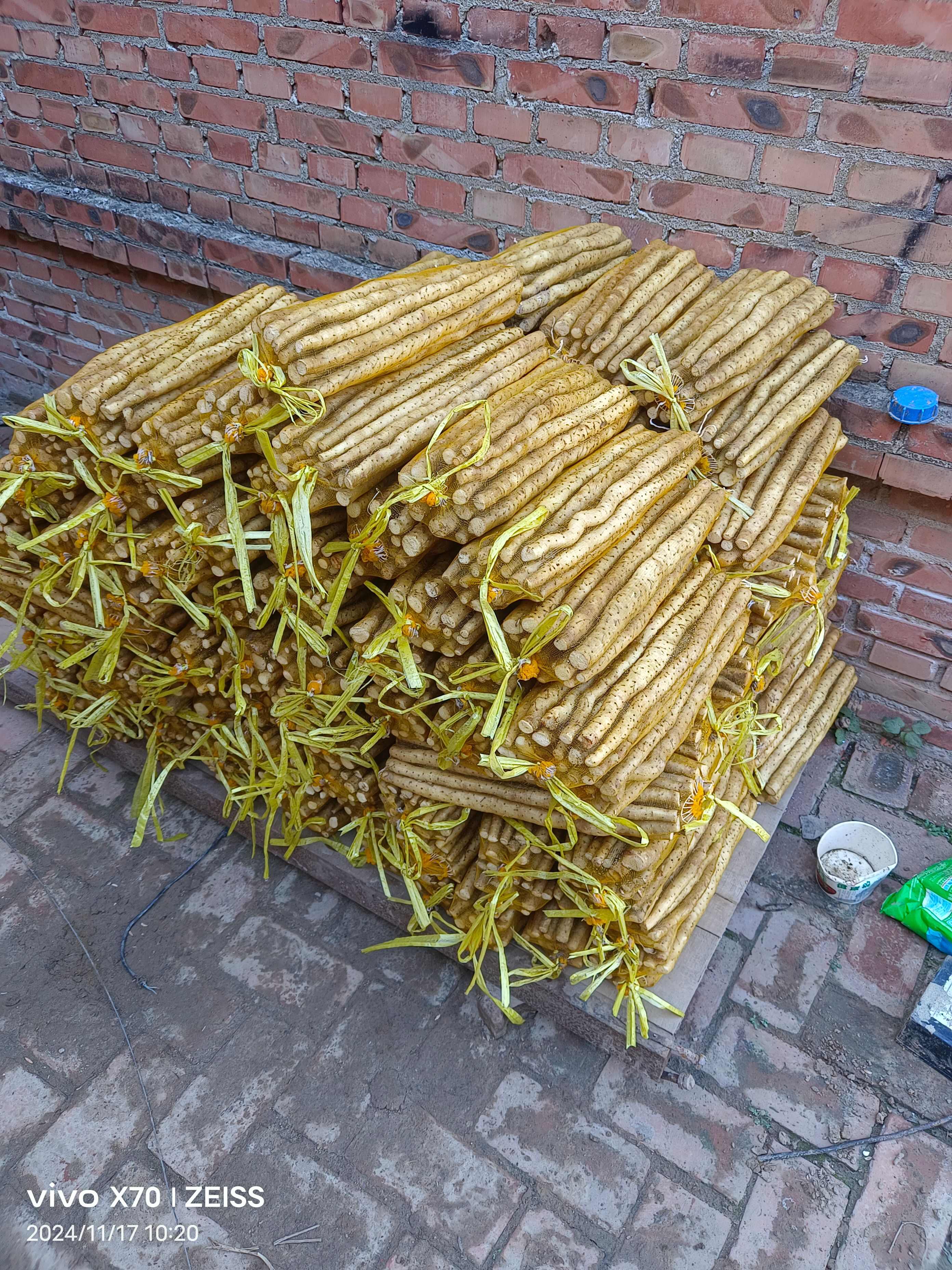 麻山药