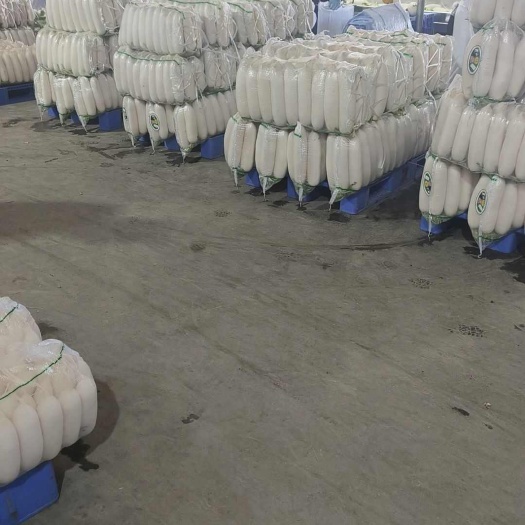 天门市湖北沙洋萝卜基地直发，品质保证
