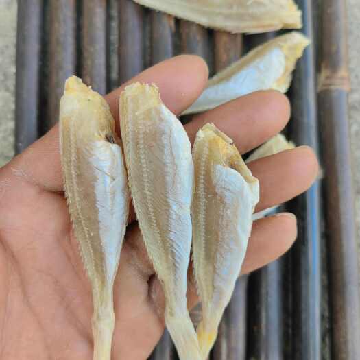北海北海红娘鱼  六角头  咸鱼干  摆摊展销会热卖产品