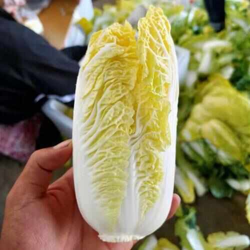 西吉县精品娃娃车