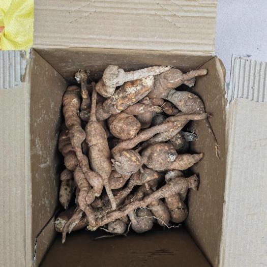 老鼠拉冬瓜，老鼠瓜，篮球地瓜新鲜货，干货，无硫磺