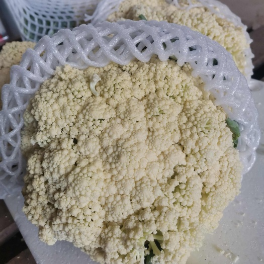 建瓯市花菜