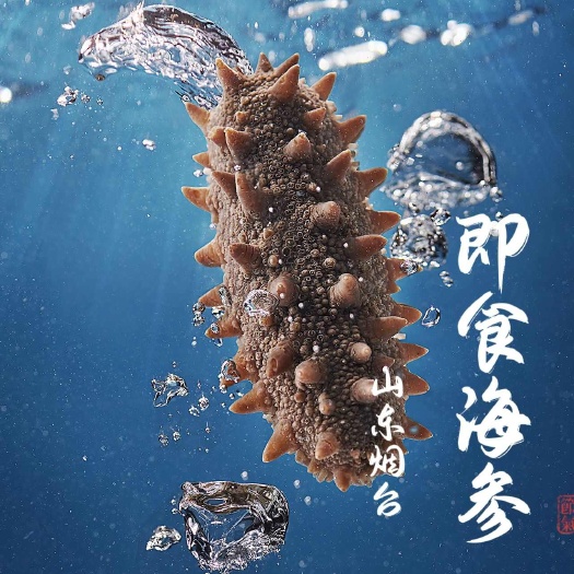 顺丰包邮～山东渤海即食海参，刺身海参