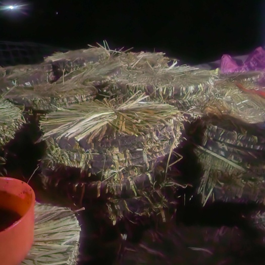 道县茶枯