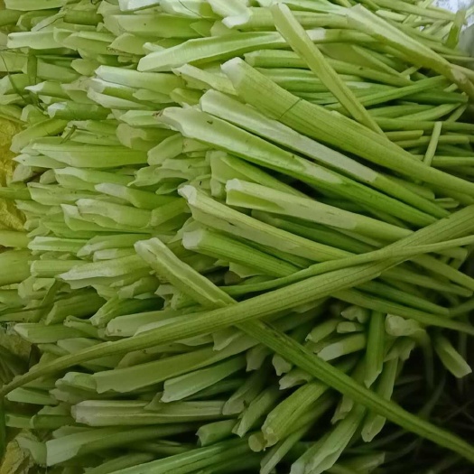 芋梗 爽脆芋蒙（芋苗）