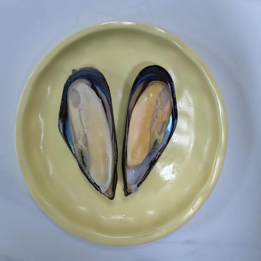 蓝口贝
