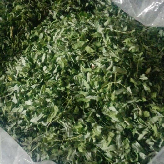 晒干鸡骨草