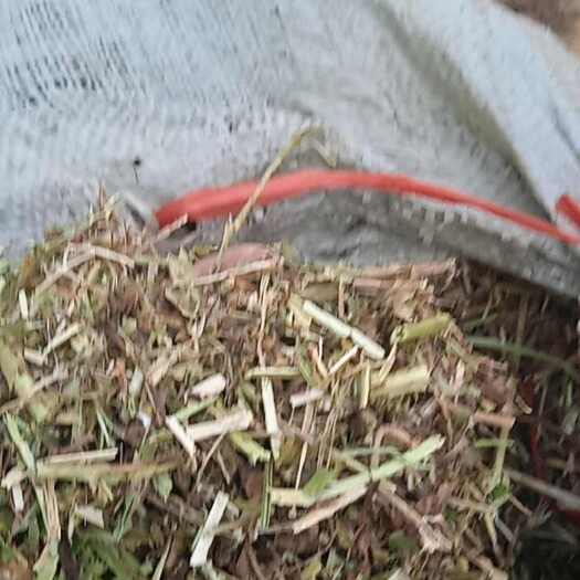 淮滨县花生秧小草适合牛，羊，马，兔通过型饲料