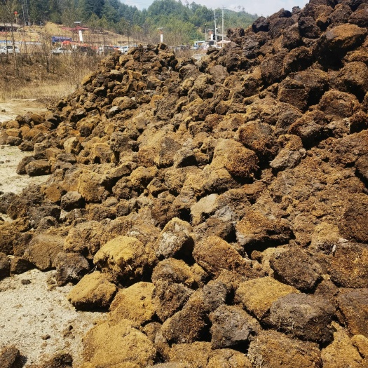 腾冲市云南草炭土原土