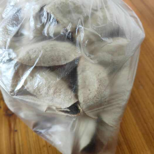 浦北县陈皮