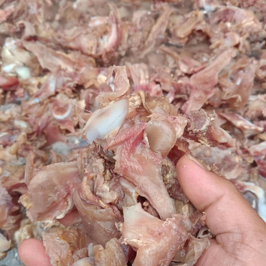 乳牛棒骨筋