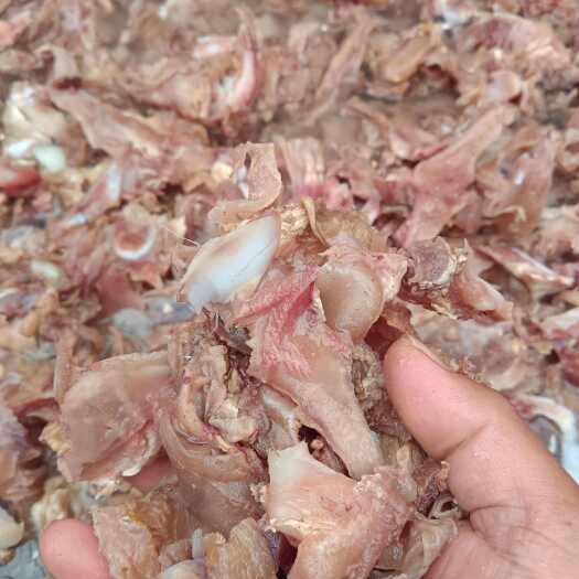 石家庄乳牛棒骨筋