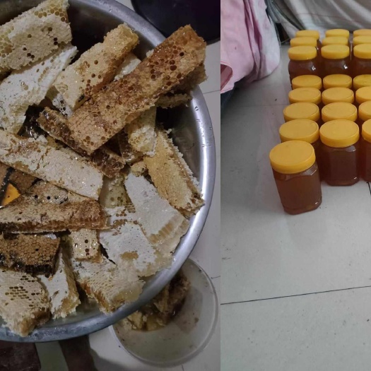 天柱县土蜜蜂了