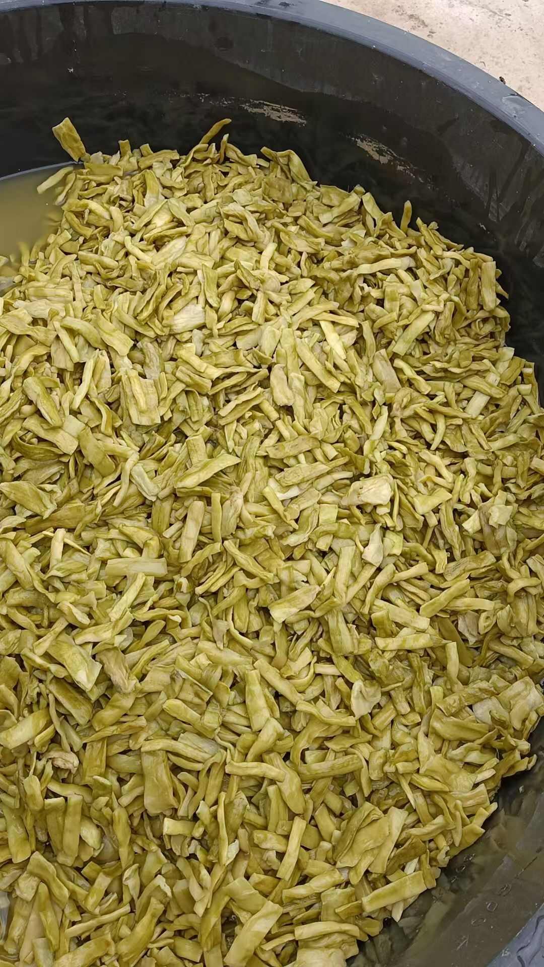 去皮芋苗