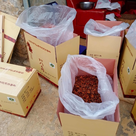 中國八角之鄉老树大红八角