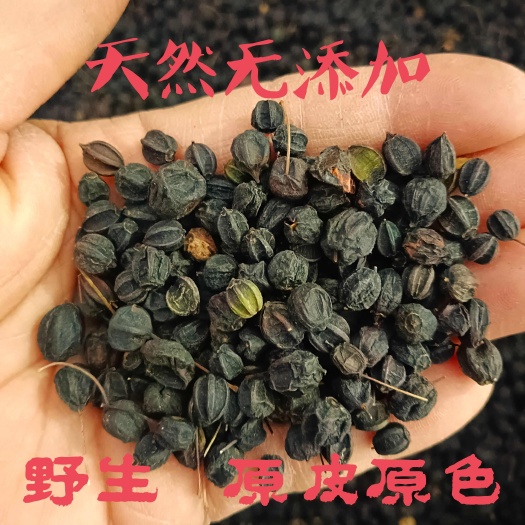 尚志市东北野生刺五加籽