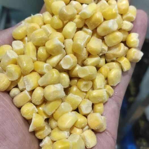 富裕县出售速冻甜玉米粒