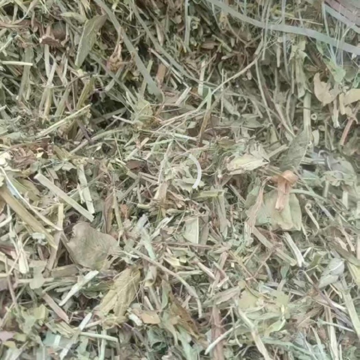 滑县大中小草应有尽有
