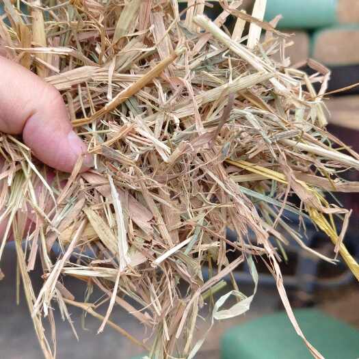 沙洋县铡段稻草