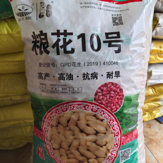 郑州粮花10号花生种子高油早熟薄皮花生种子
